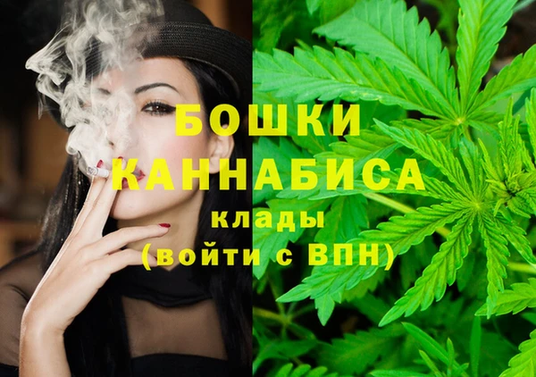 шишки Комсомольск